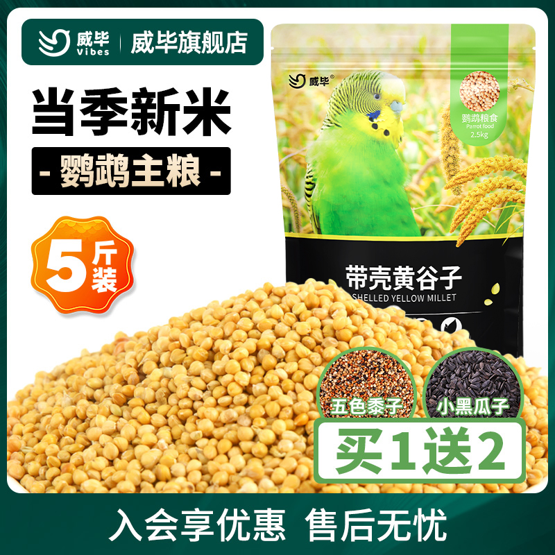威毕新黄谷子带壳小米牡丹鹦鹉
