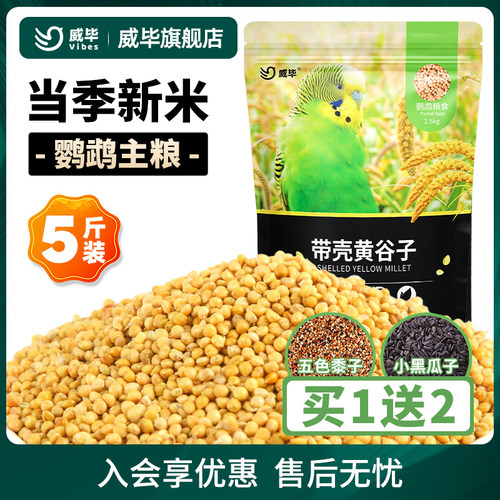 威毕新黄谷子带壳小米牡丹鹦鹉