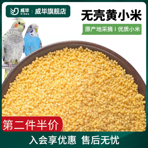 无壳黄谷子威毕虎皮鹦鹉鸟食