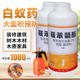 白蚁药水传染诱杀装 修园林除预防专用一巢灭飞蚁杀虫剂家用全窝端