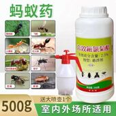 大面积除杀灭蚂蚁药家用室内全窝端喷雾黑白蚂蚁防治专用 杀虫剂
