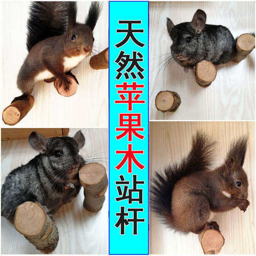苹果木跳柱站杆宠物磨牙磨爪