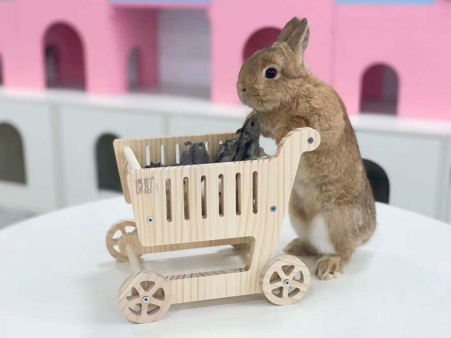 白菜麻麻原创设计购物车手推车实木道具宠物摆拍兔子龙猫豚鼠仓鼠