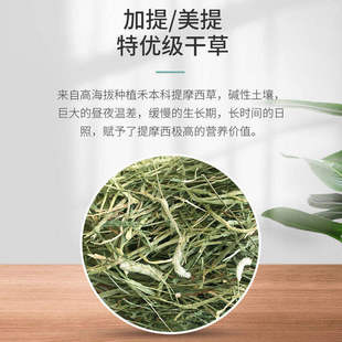 白菜麻麻加提美提特优一番二番叶多兔子龙猫进口提摩西磨牙