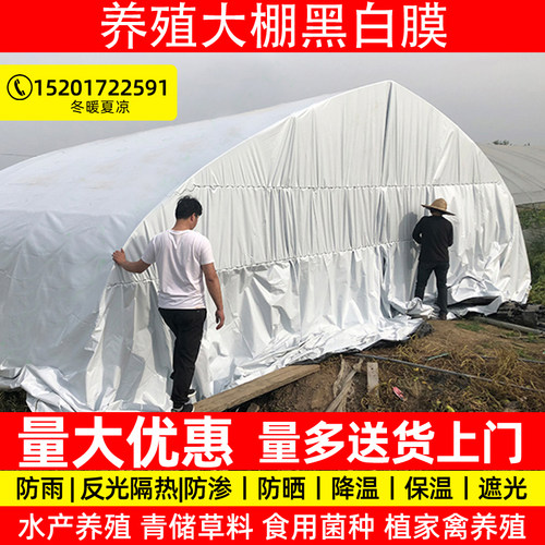 进口黑白膜PE防晒降温隔热抗拉扯