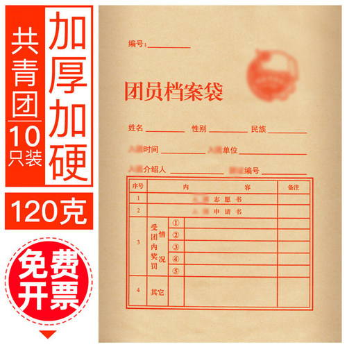 共青团团员档案袋牛皮入团申请