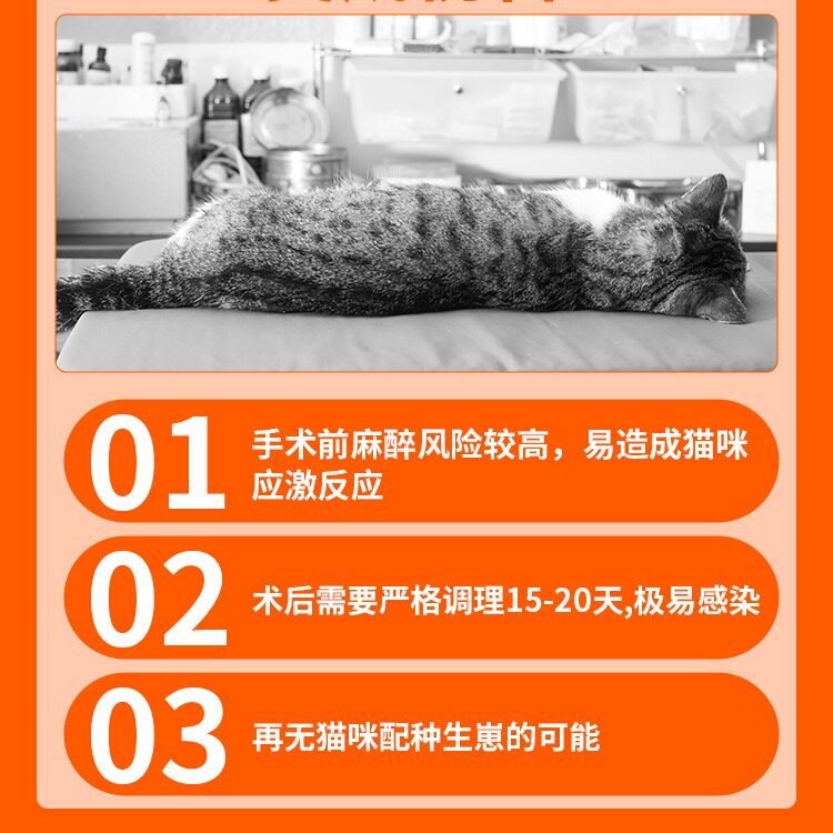 猫咪禁情粉母猫绝育药禁发情期抑制情欲公猫闹猫叫抑情片药