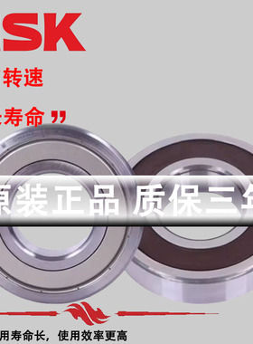 日本NSK进口轴承6313 6314 6315 6316 6317 6318 6319 6320ZZ DDU