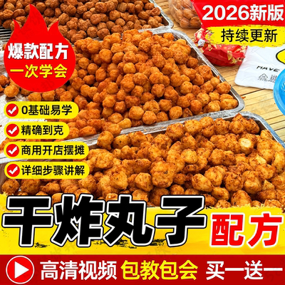 干炸丸子技术配方牛肉丸焦炸素丸子鱼丸萝卜瘦肉丸制作教程商用