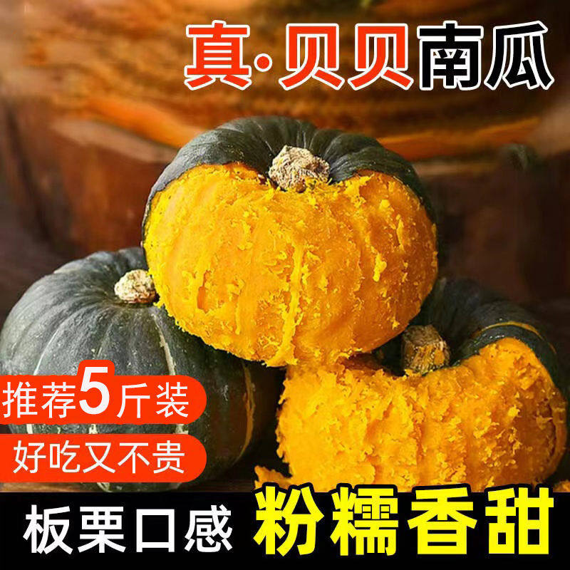 辅食贝贝板栗小南瓜粉糯迷你南瓜软糯香甜新鲜农家5斤包邮2025