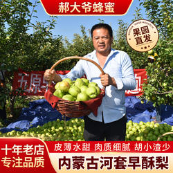 早酥梨内蒙河套早熟梨水梨早熟梨头茬脆甜薄皮丑梨苹果梨8斤包邮