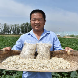 25年新货原味生南瓜子内蒙古葫芦籽大片白皮瓜子零食坚果炒货包邮