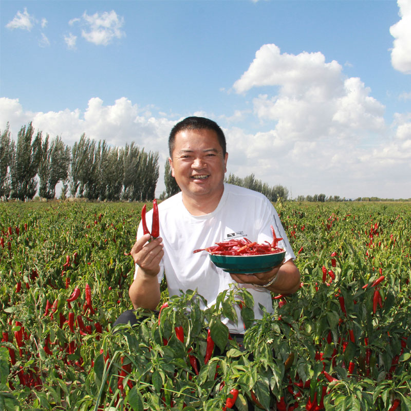 内蒙特香干辣椒小米辣七星朝天椒魔鬼椒二荆条海椒农家干货特辣