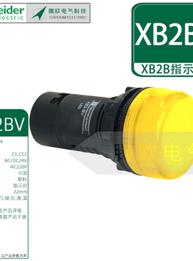 施耐德XB2BV塑料圆形指示灯22mm红绿黄蓝白色DC24VAC220V内置光源