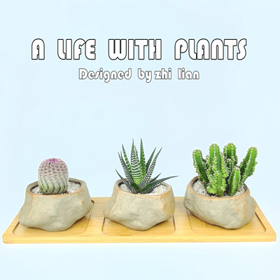 红太阳万重山网红多肉植物小盆栽趣味可爱阳台办公摆放装饰盆栽