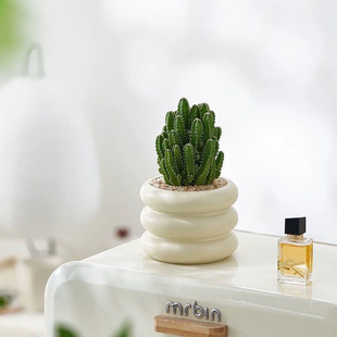 多肉万重山盆栽绿植开花仙人球组合办公室桌面喜阳室内仙人掌植物