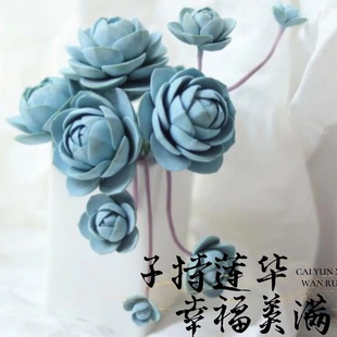 肉肉植物 多肉 办公室内盆栽 子持莲华 多肉植物组合盆栽