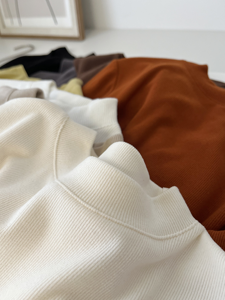 双面磨毛慕斯绒小立领打底衫女