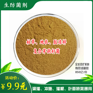 包邮850亿枯草地衣胶冻样芽孢杆1000亿枯草芽孢杆菌生防菌剂