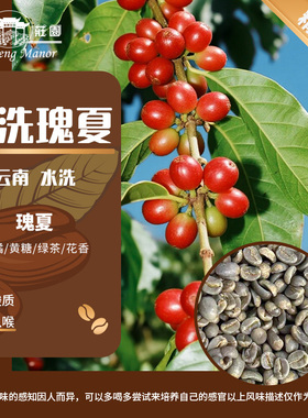 高晟庄园 水洗瑰夏咖啡生豆阿拉比卡1000g云南咖啡豆保山小粒手冲