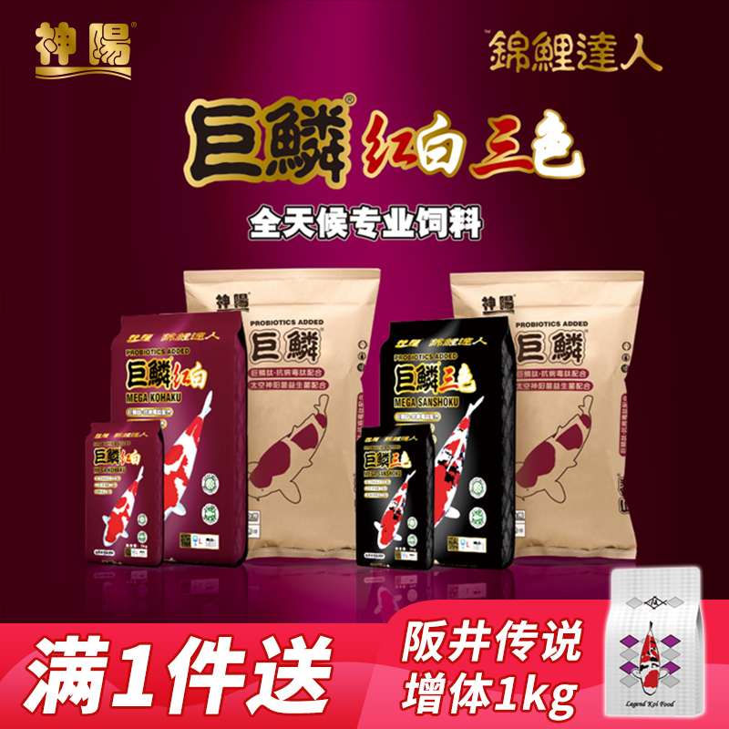 神阳巨鳞锦鲤饲料红白三色骨霸