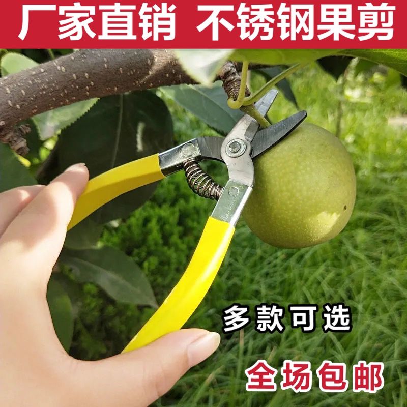 厂家直销不锈钢果剪刀摘果剪