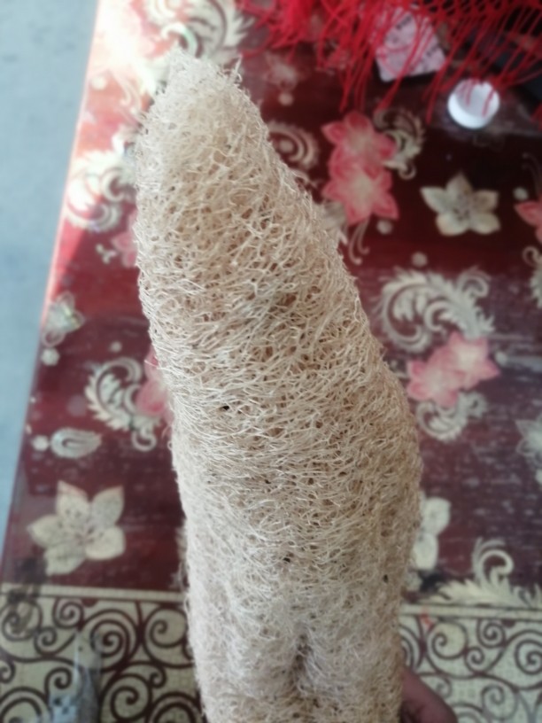 纯天然环保洗锅去油污神器 刷锅刷子 椰棕长柄清洁刷洗碗刷锅神器,五金/工具,钢丝刷/钢丝清洁刷,淘宝优惠券,粉丝福利购,淘宝优惠卷