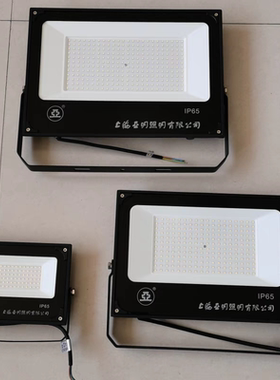 ZY609LED投光灯30W50W100W150W200W超亮户外防水射灯