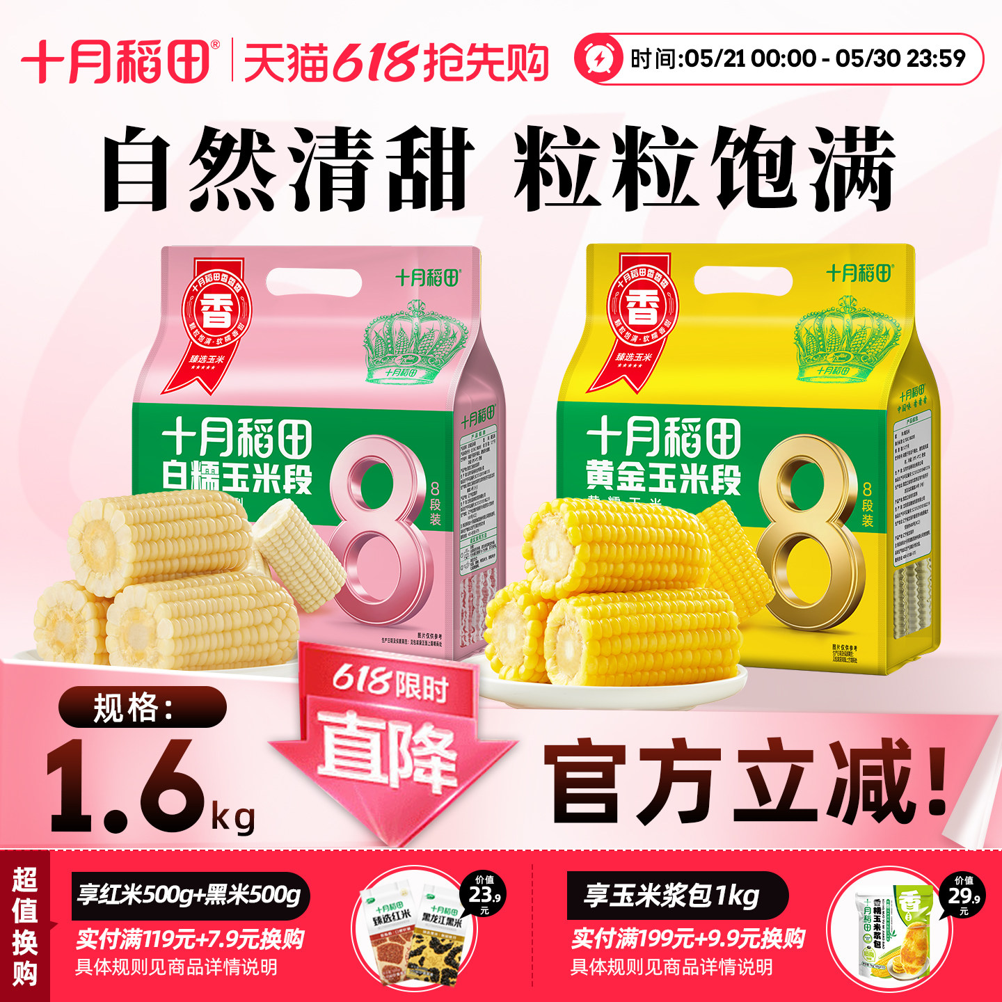 十月稻田黄糯玉米段白糯玉米段