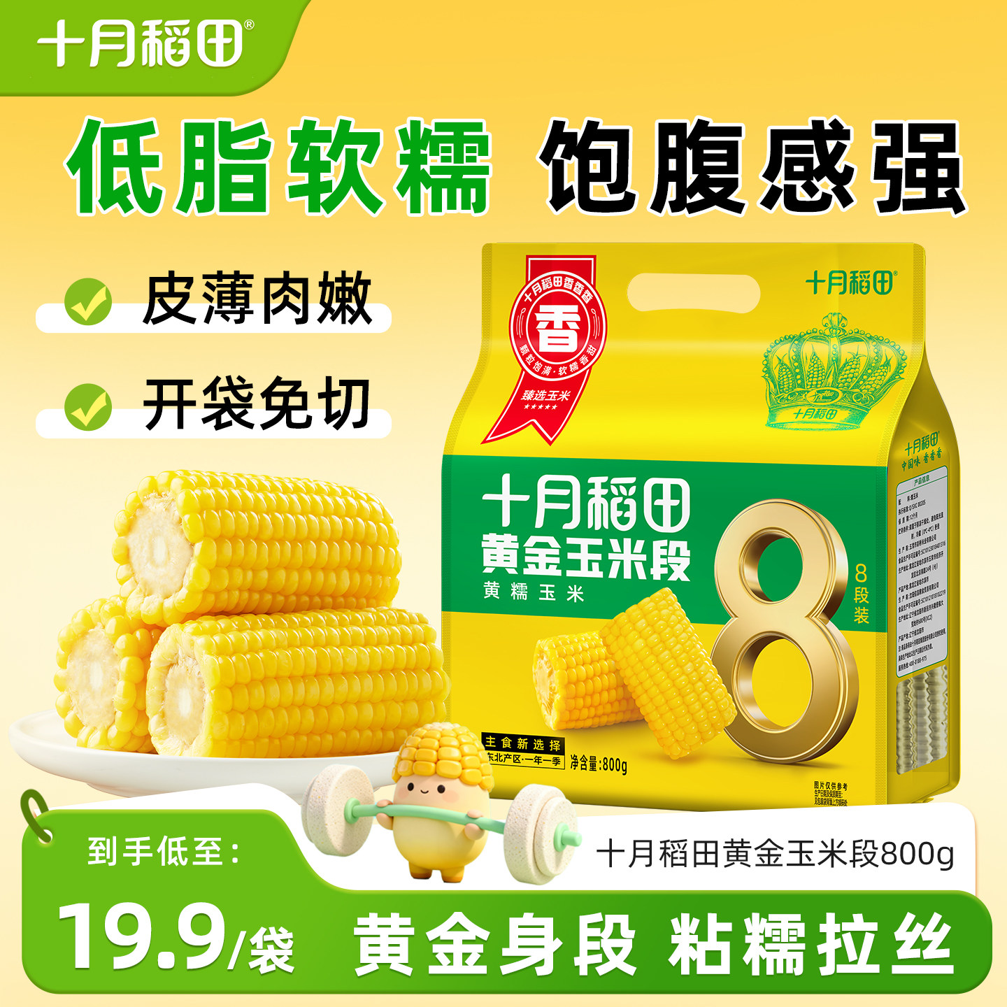 十月稻田黄糯玉米段低脂图片