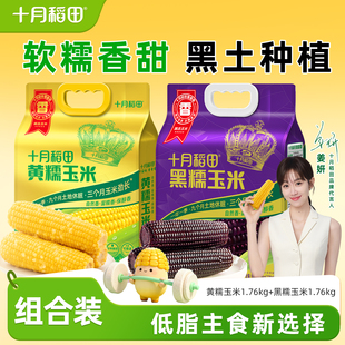 25年新玉米十月稻田黄糯玉米黑糯2袋白糯香甜拉丝东北新鲜玉米