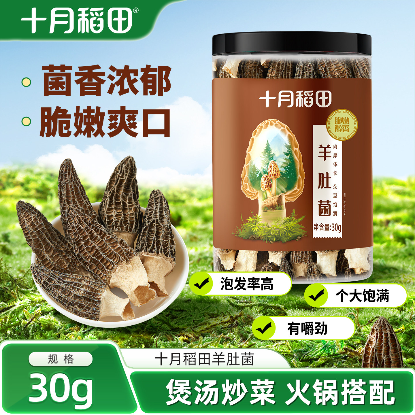 十月稻田羊肚菌30g干货煲汤个大饱满肉质肥厚有嚼劲独立罐装