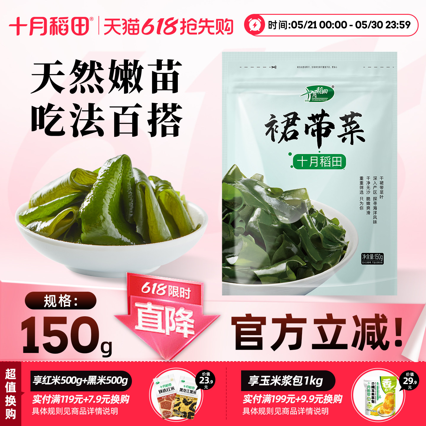 十月稻田裙带菜150g干货鲜嫩爽口大片无沙低脂高蛋白干度足易储存
