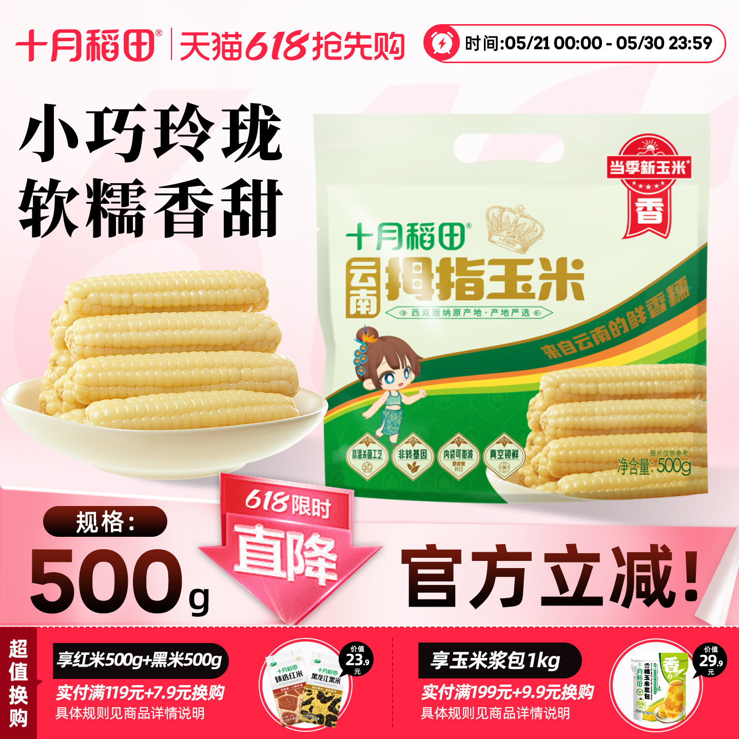 十月稻田拇指玉米云南婴儿宝宝手指小玉米香糯杂粮新鲜早餐官方甜