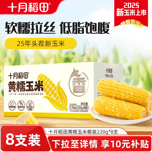 十月稻田黄糯玉米箱装2箱