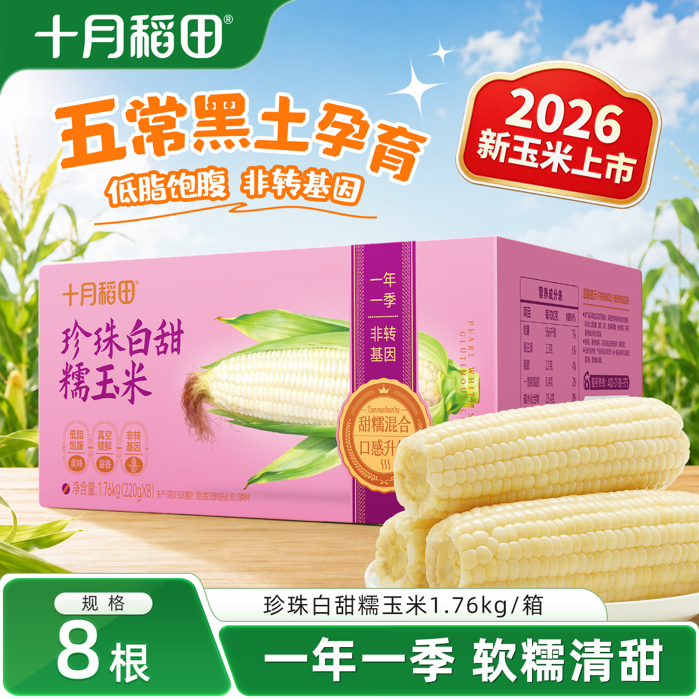 十月稻田26年新玉米白糯玉米东北五常甜苞米粗粮早餐低脂轻食
