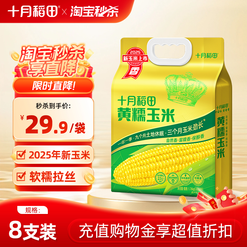 25年新玉米十月稻田黄糯玉米棒东北新鲜低脂粘糯香甜拉丝