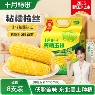 25年新玉米十月稻田黄糯玉米棒东北新鲜低脂粘糯香甜拉丝官方旗舰