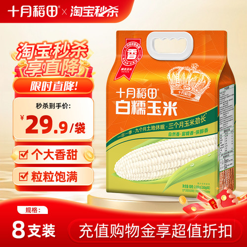 十月稻田白糯玉米大棒