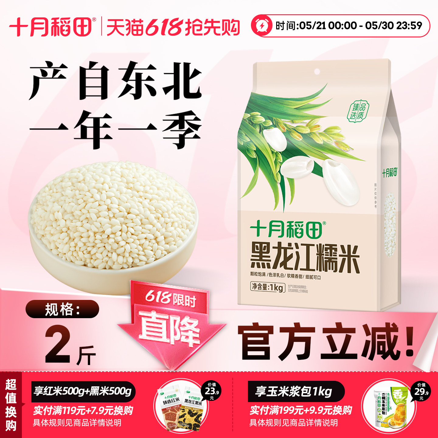 十月稻田糯米黑龙江圆粒黏米五谷杂粮包粽子江米酒酿米杂粮米饭