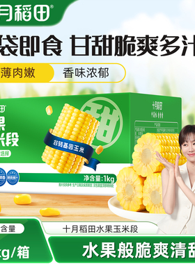 十月稻田水果玉米段1kg箱装即食甜玉米真空包装低脂早餐旗舰店