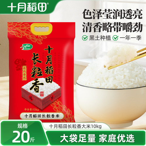 2025新米十月稻田长粒香大米10kg
