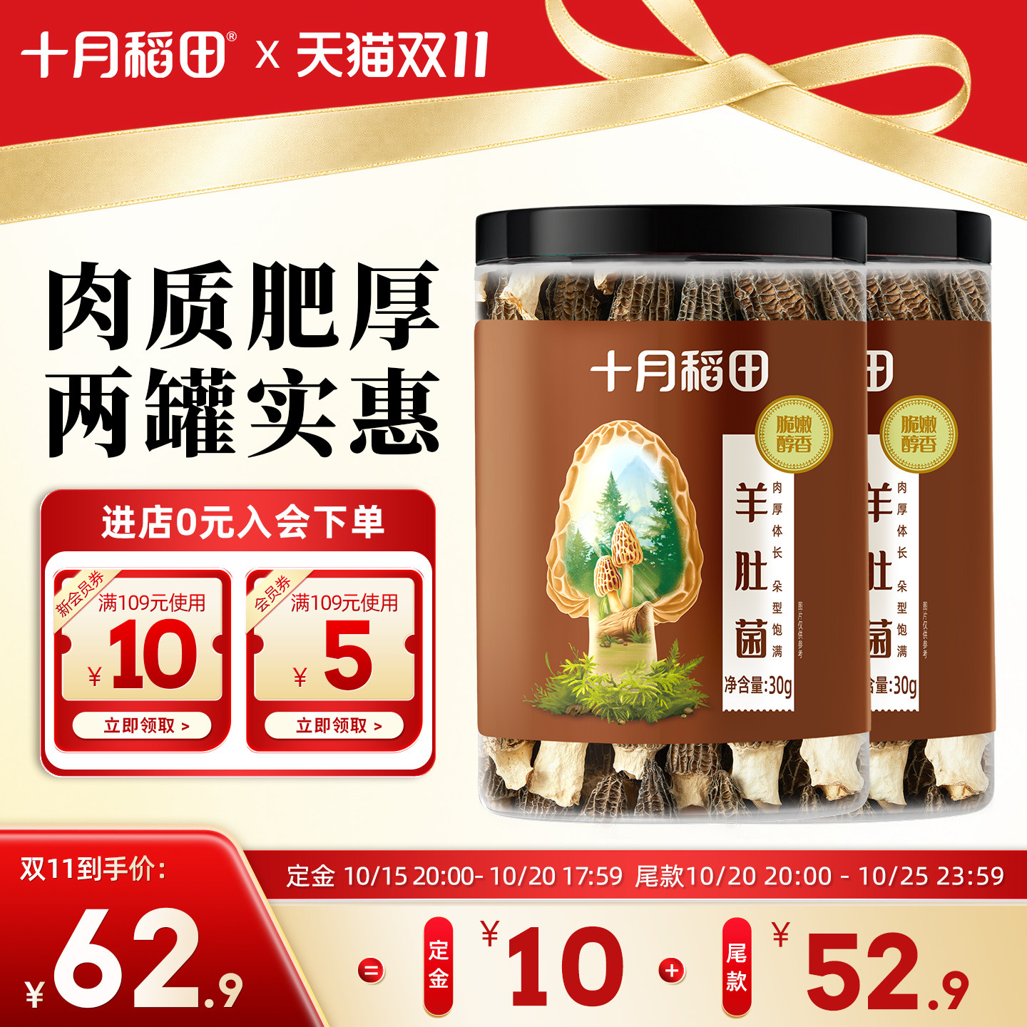 十月稻田羊肚菌30g*2罐煲汤个大饱满肉质有嚼劲独立罐装官方推荐