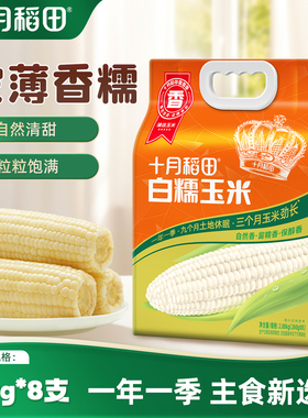 十月稻田白糯玉米低脂大棒黏苞米260gx8真空装包装袋粘糯香大棒