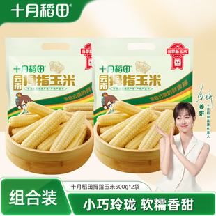 十月稻田云南拇指玉米500gx2非转基因新鲜玉米甜糯软糯真空装