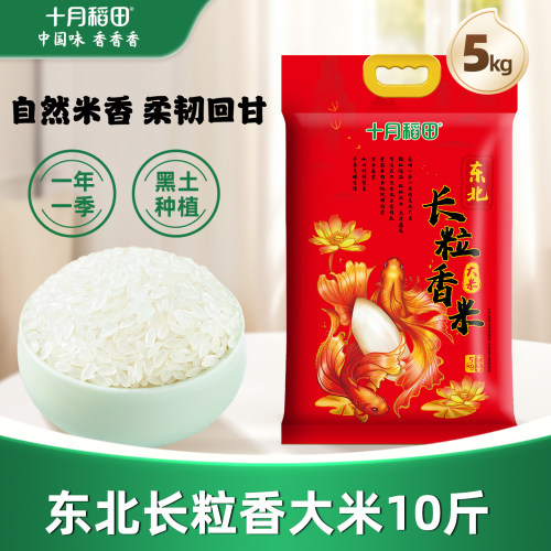 25年新米十月稻田长粒香米5kg