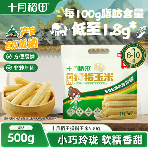 十月稻田云南拇指玉米