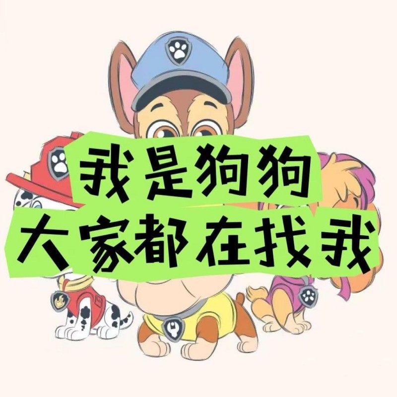 烘焙蛋糕摆件狗狗摆件 12款二代小狗公仔 儿童生日蛋糕甜品台装饰,节庆用品/礼品,节日装扮用品,淘宝优惠券,粉丝福利购,淘宝优惠卷