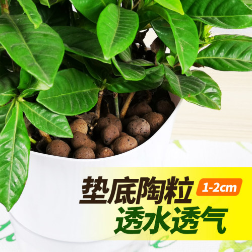 回填陶粒熊记回填陶粒