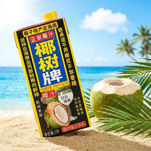 正宗椰树牌椰汁 椰树椰子汁1L*2新鲜椰子肉鲜榨 椰奶椰子汁